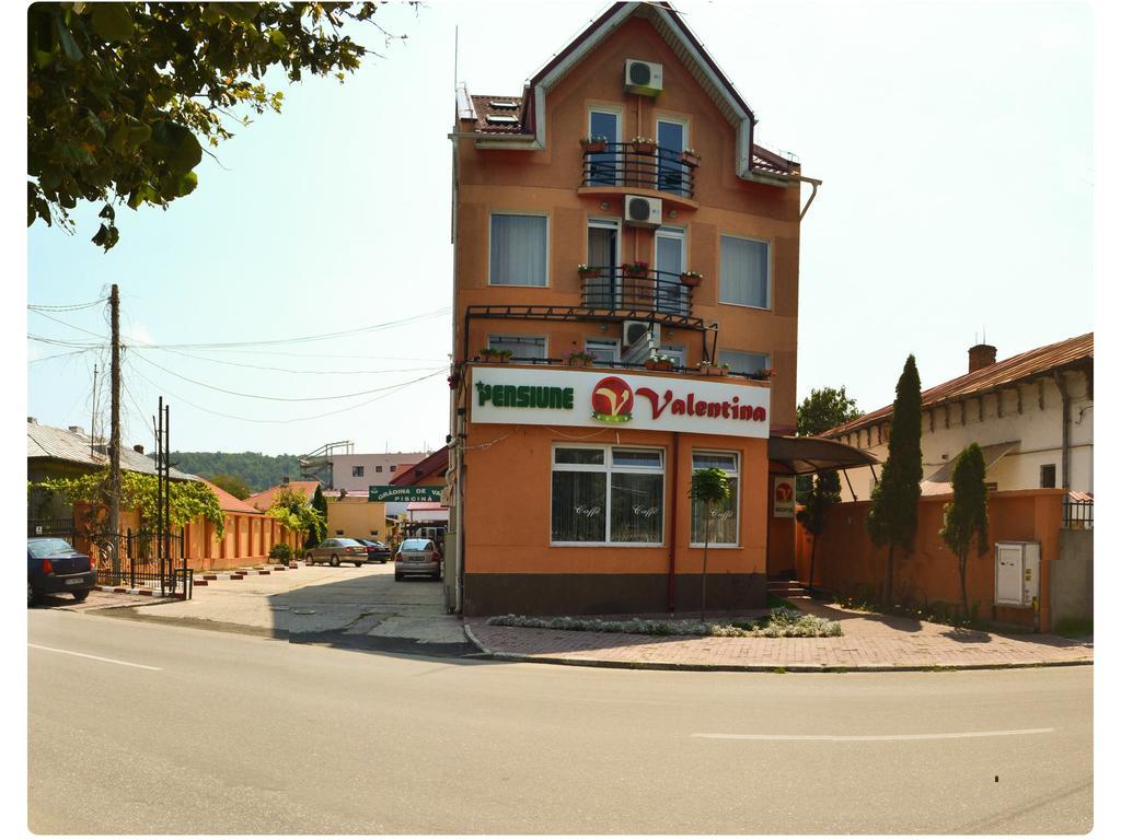 מלון Râmnicu Vâlcea Pensiune Valentina מראה חיצוני תמונה